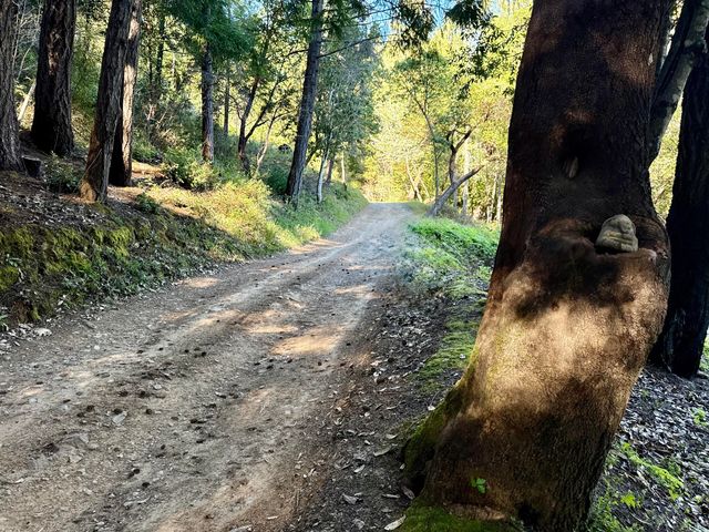 787 Owl Mine Road, Orleans, CA 95556