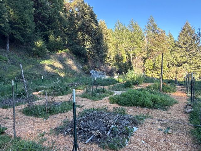 787 Owl Mine Road, Orleans, CA 95556