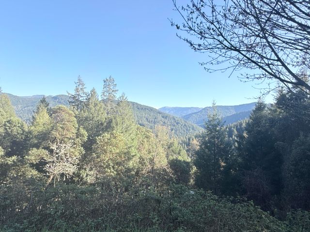 787 Owl Mine Road, Orleans, CA 95556