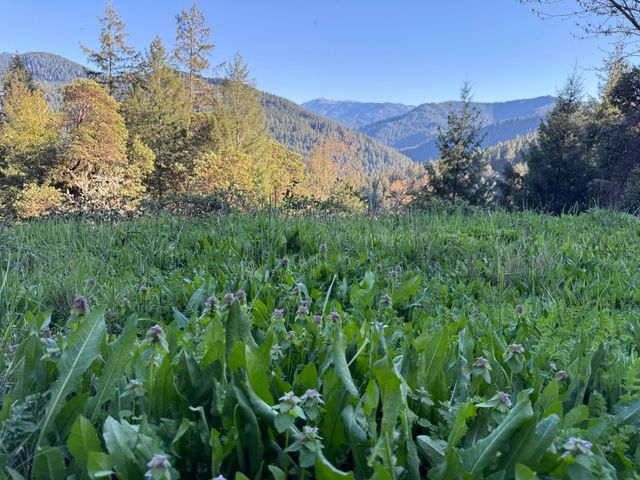 787 Owl Mine Road, Orleans, CA 95556