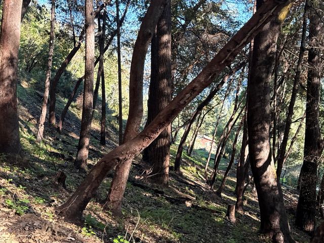 787 Owl Mine Road, Orleans, CA 95556