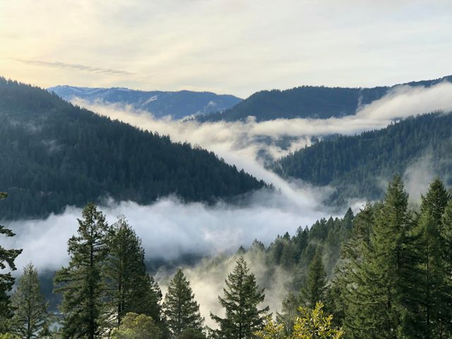 787 Owl Mine Road, Orleans, CA 95556