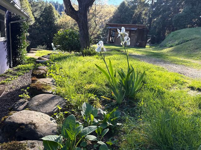 787 Owl Mine Road, Orleans, CA 95556