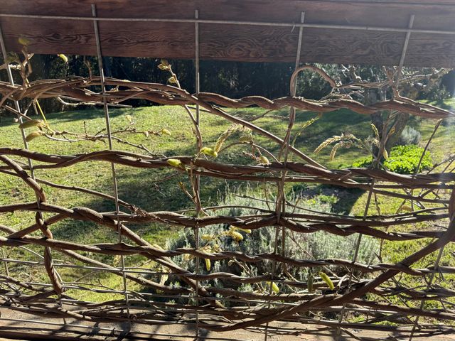 787 Owl Mine Road, Orleans, CA 95556