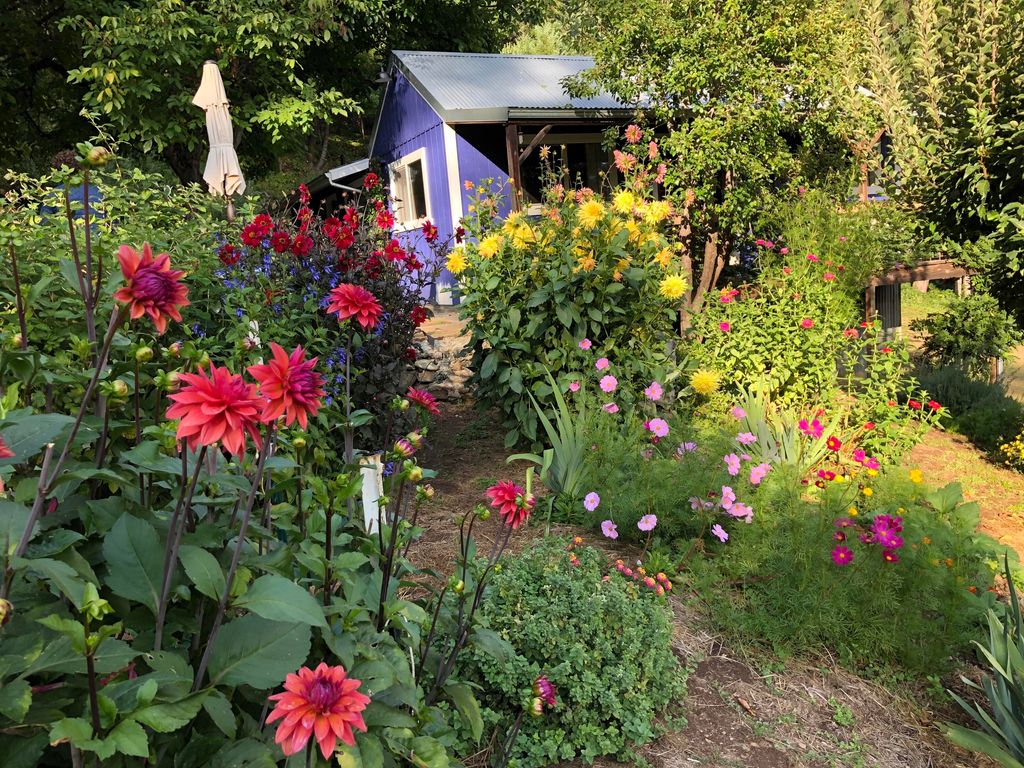 787 Owl Mine Road, Orleans, CA 95556