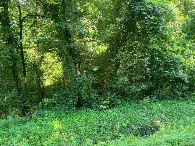 8821 Gann Road 1, Soddy Daisy, TN 37379