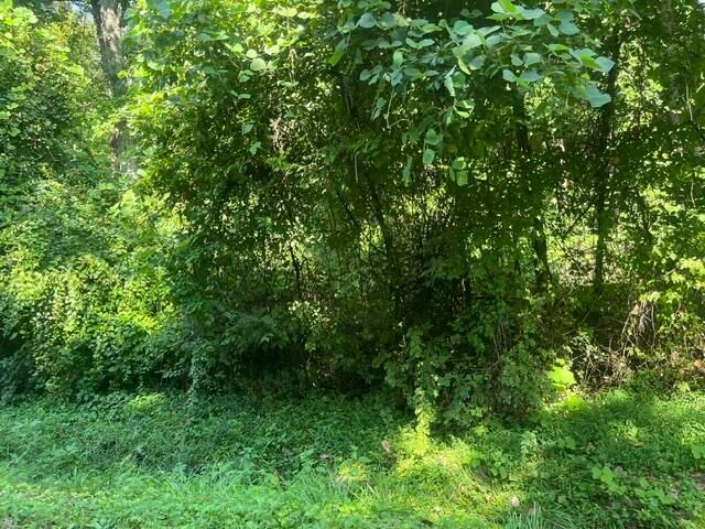 8821 Gann Road 1, Soddy Daisy, TN 37379