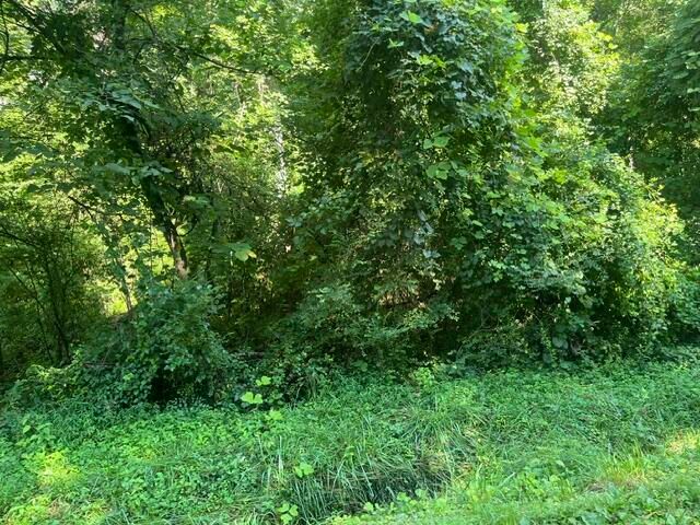 8821 Gann Road 1, Soddy Daisy, TN 37379