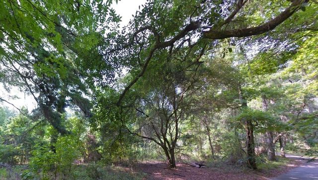 000 MOORHEN CIRCLE, Tallahassee, FL 32312