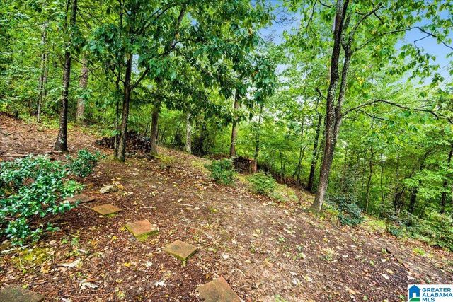 1600 PINE MOUNTAIN ROAD, Remlap, AL 35133