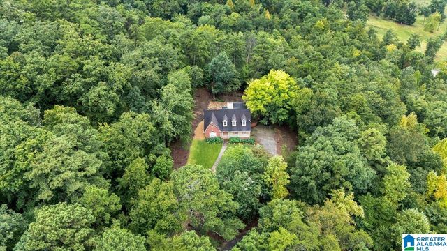 1600 PINE MOUNTAIN ROAD, Remlap, AL 35133