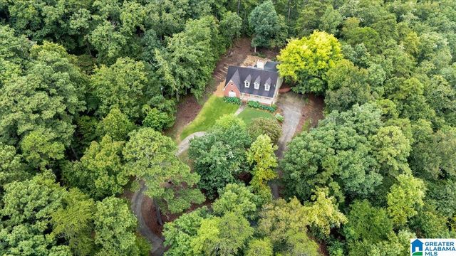 1600 PINE MOUNTAIN ROAD, Remlap, AL 35133