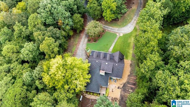 1600 PINE MOUNTAIN ROAD, Remlap, AL 35133