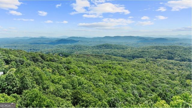 279 Rising Star Lane, Mineral Bluff, GA 30559