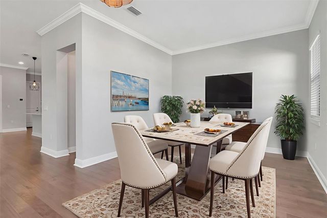 13022 SANCTUARY VILLAGE LANE, Tampa, FL 33624