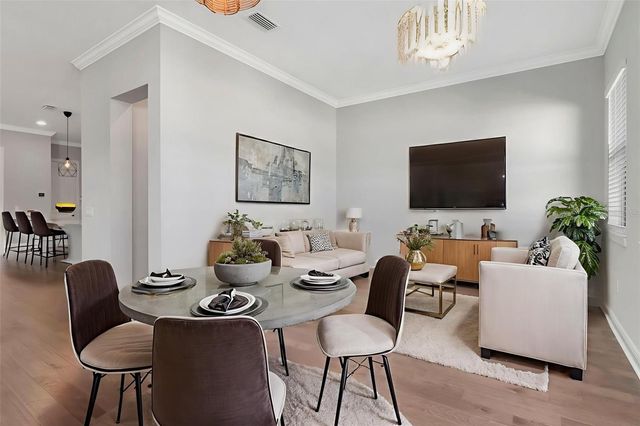 13022 SANCTUARY VILLAGE LANE, Tampa, FL 33624