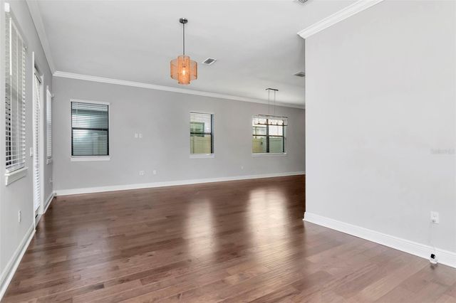 13022 SANCTUARY VILLAGE LANE, Tampa, FL 33624