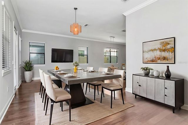 13022 SANCTUARY VILLAGE LANE, Tampa, FL 33624