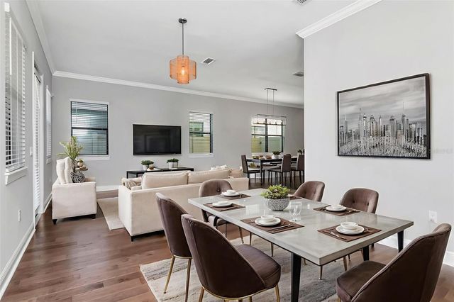 13022 SANCTUARY VILLAGE LANE, Tampa, FL 33624