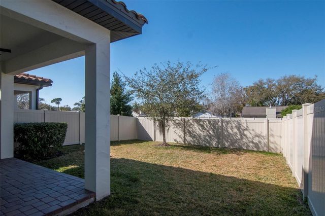 13022 SANCTUARY VILLAGE LANE, Tampa, FL 33624