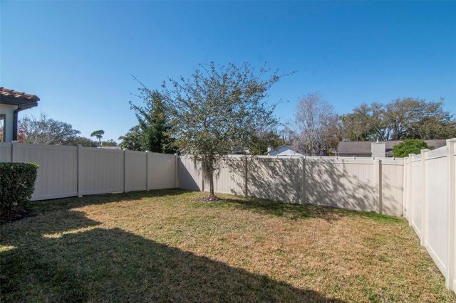 13022 SANCTUARY VILLAGE LANE, Tampa, FL 33624