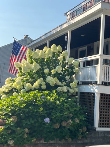 11 Phyllis Avenue, Burlington, MA 01803