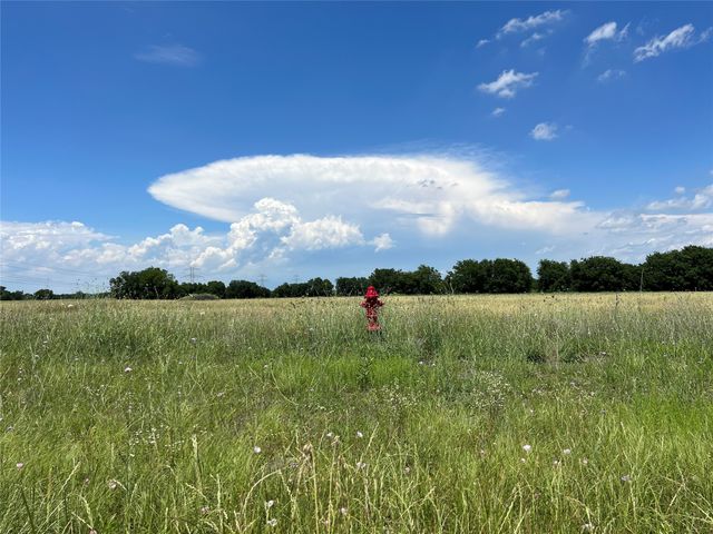 Lots 7, 8, & 9 CR-590, Nevada, TX 75173