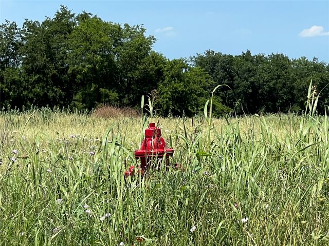 Lots 7, 8, & 9 CR-590, Nevada, TX 75173