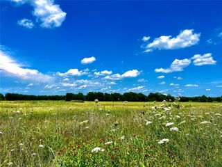 Lots 7, 8, & 9 CR-590, Nevada, TX 75173