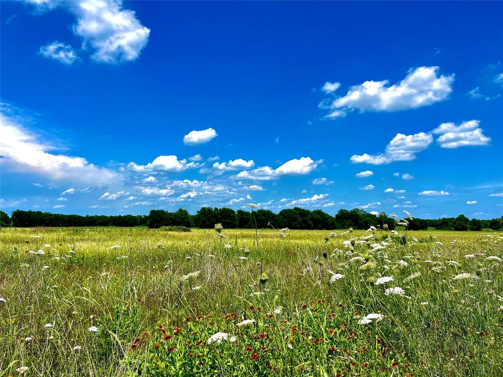 Lots 7, 8, & 9 CR-590, Nevada, TX 75173