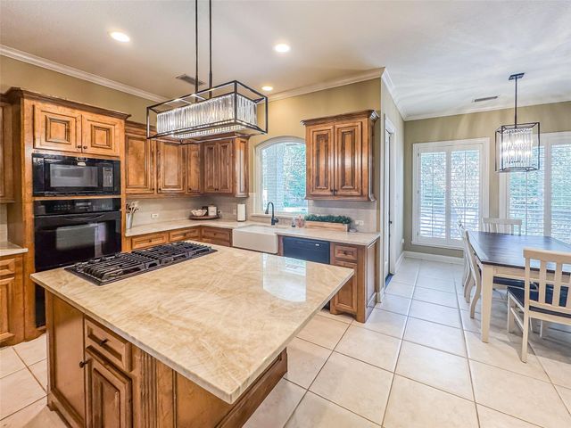 38 E Thymewood Place, The Woodlands, TX 77382