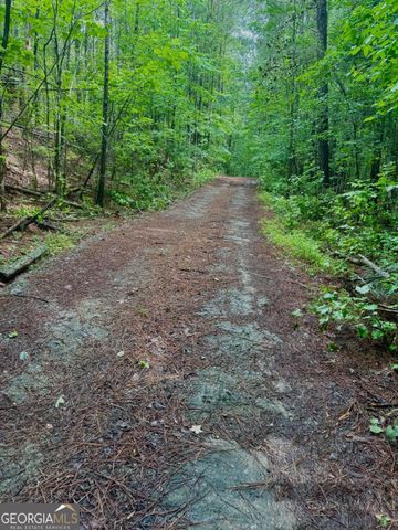 8872 Conners Road, Villa Rica, GA 30180