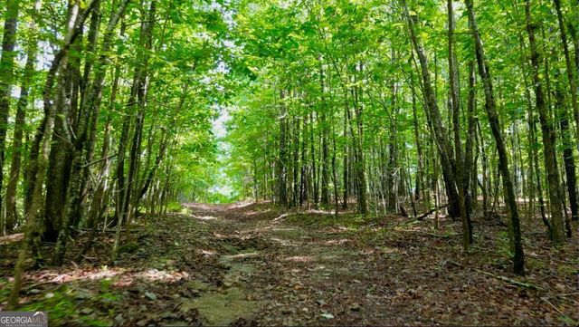 8872 Conners Road, Villa Rica, GA 30180