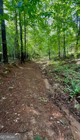 8872 Conners Road, Villa Rica, GA 30180