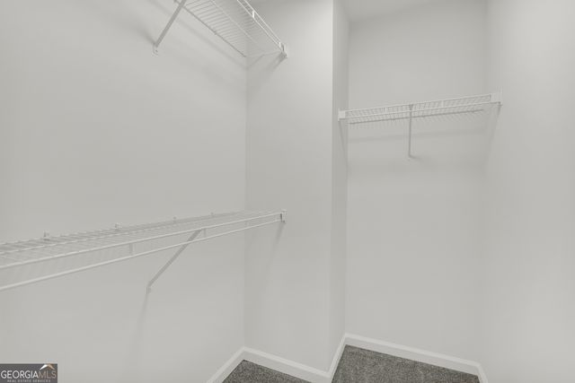 3001 Leatherleaf Trail, Douglasville, GA 30135