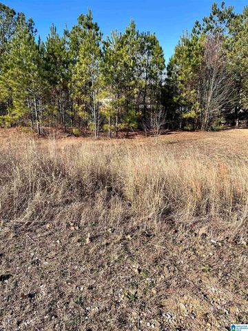 829 WATERFORD COVE LANE, Calera, AL 35040