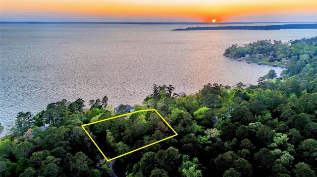 252 Forest Ridge Drive, Livingston, TX 77351