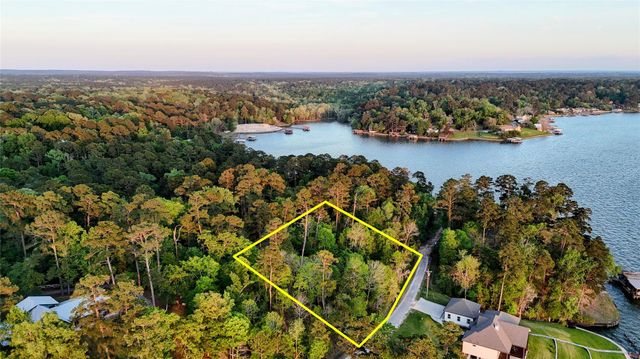 252 Forest Ridge Drive, Livingston, TX 77351