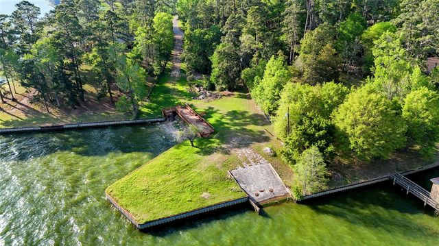 252 Forest Ridge Drive, Livingston, TX 77351