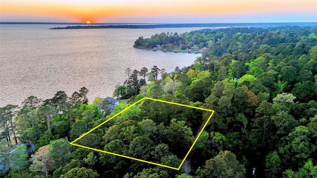 252 Forest Ridge Drive, Livingston, TX 77351