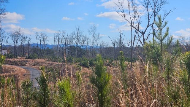 Lot 197 Oak Wood Lane, Ellijay, GA 30540