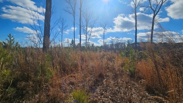 Lot 197 Oak Wood Lane, Ellijay, GA 30540