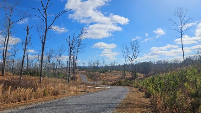 Lot 197 Oak Wood Lane, Ellijay, GA 30540