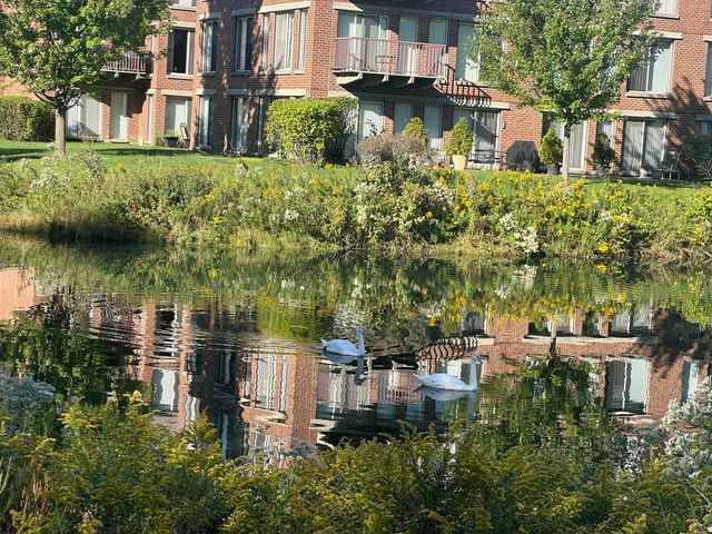 401 KELBURN Road 114, Deerfield, IL 60015
