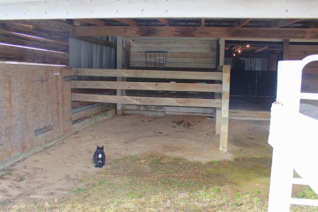 1770 S Stacy Springs Road, Quitman, AR 72131