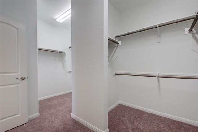 113 Meadow Wood CV, Georgetown, TX 78626