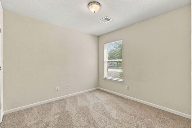 3006 Rustling Chestnut Street, Spring, TX 77389