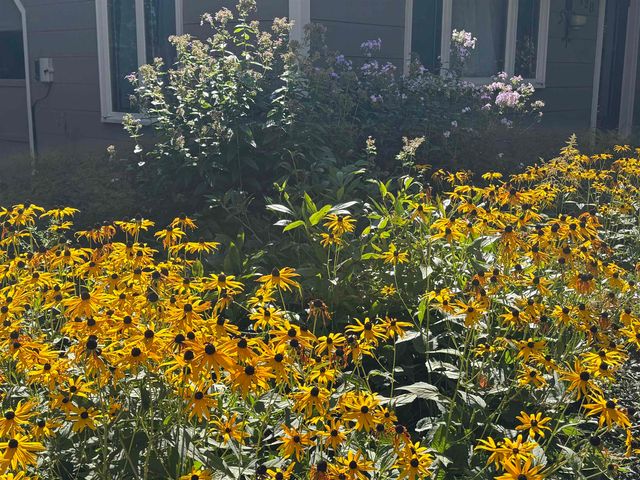 128 Upper Pines Road, Warren, VT 05674