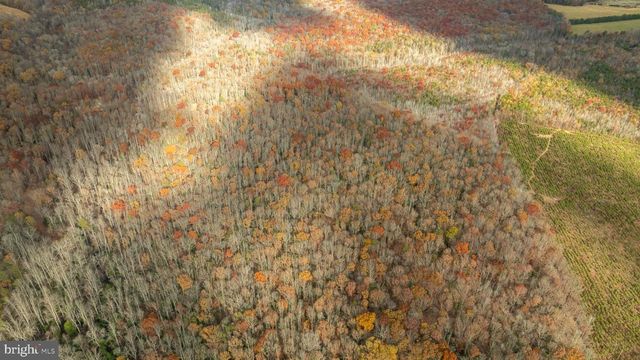 14100 CEDAR PLANTATION RD, Spotsylvania, VA 22551