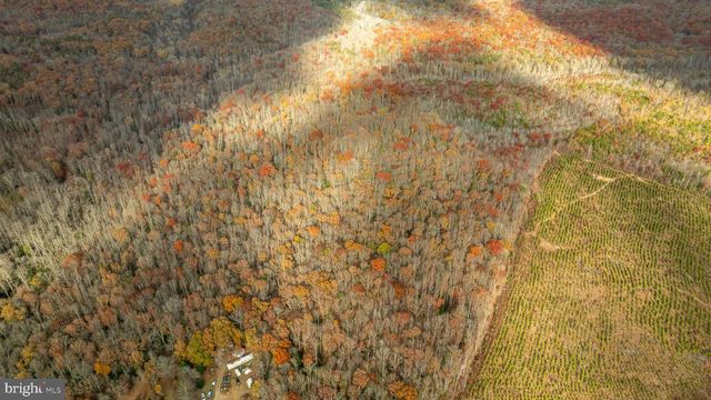 14100 CEDAR PLANTATION RD, Spotsylvania, VA 22551